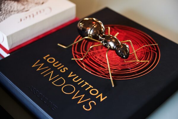 Louis Vuitton Windows boek Assouline met Mambo Unlimited Ant