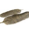 DekoCandle Blad Antiek Messing - Bestel nú op dmlxry.com